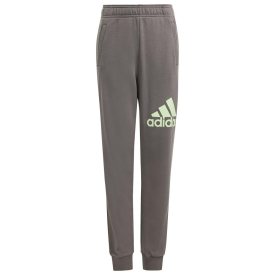 Adidas Παιδικό παντελόνι φόρμας U Essentials Big Logo Pants